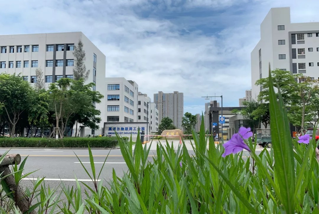 1745890558322533.jpg 20250425156.jpg